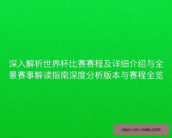 深入解析世界杯比赛赛程及详细介绍与全景赛事解读指南深度分析版本与赛程全览