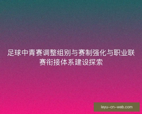 足球中青赛调整组别与赛制强化与职业联赛衔接体系建设探索
